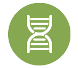 分子生物學
